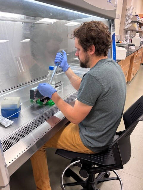 Student doing thesis research.